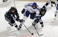 24VS体育直播-意甲球队崛起图片：展示意甲球队崛起过程中的关键时刻与图片