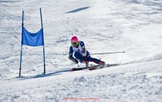 24VS体育直播-世俱杯赛事经济影响及市场潜力研究