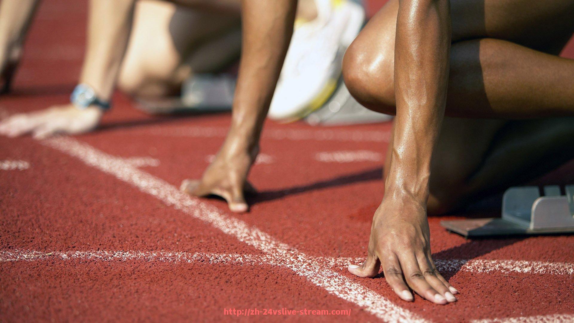 24VS体育直播-世俱杯球鞋柔韧度参数对比及材料性能研究